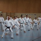 DSC02523.JPG