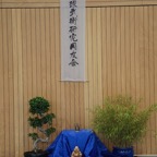 DSC02547.JPG