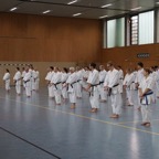 DSC02553.JPG