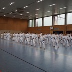 DSC02555.JPG