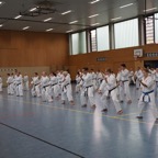 DSC02556.JPG