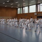 DSC02557.JPG