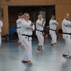 DSC02763.JPG