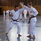 2016-09-11 Lehrgang mit Oshiro Shihan in Straubing - 015.jpg
