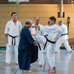 2016-09-11 Lehrgang mit Oshiro Shihan in Straubing - 019.jpg