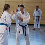 2016-09-11 Lehrgang mit Oshiro Shihan in Straubing - 020.jpg