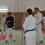 DSC_0425.JPG