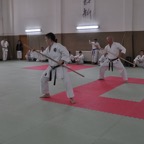 DSC_0464.JPG