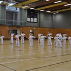 DSC_0043.JPG