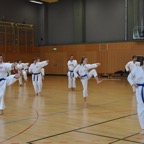 DSC_0152.JPG