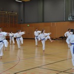 DSC_0153.JPG