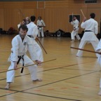DSC_0421.JPG