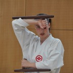 DSC_0456.JPG
