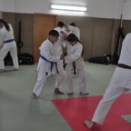 DSC_0378.JPG