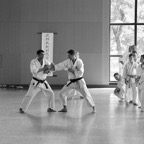 IMG_4118.jpg