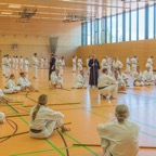 2018-09-08 Seminar with Oshiro Shihan-4.jpg