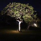 IMG_5699.jpg