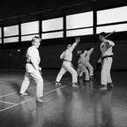 IMG_5887.jpeg