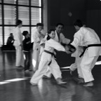 67A13FFD-6648-459B-8E8B-1FF2DC002F4C.jpeg