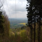 IMG_20220501_143119196.jpg