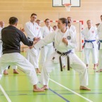2022-06-256 Lehrgang mit Romero Sensei in Feldkirchen-1.jpg
