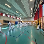 IMG_5330.jpeg