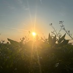 IMG_8623.jpeg