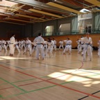 IMG_5880.JPG
