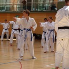 IMG_5881.JPG