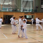 IMG_6387.JPG
